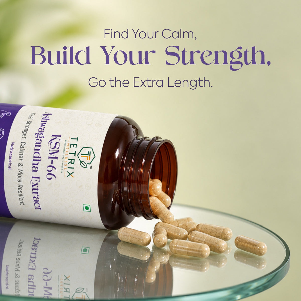Tetrix Ashwagandha — Stress Relief and Strength Booster